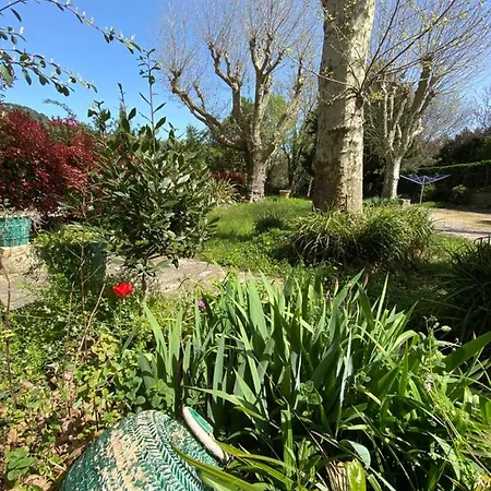 アパート Les Platanes - Rambrandt Rez De Jardin *