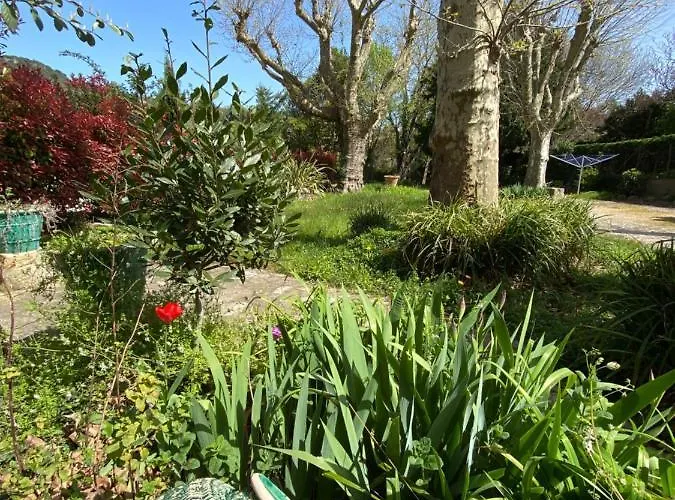 Διαμέρισμα Les Platanes - Rambrandt Rez De Jardin *